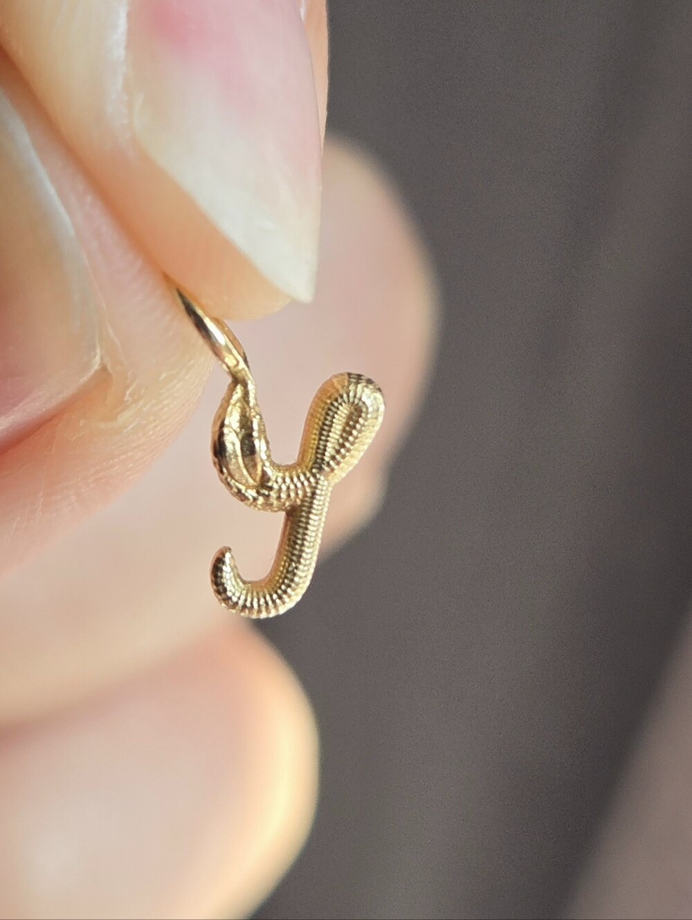 Nagini "Y" Letter Charm